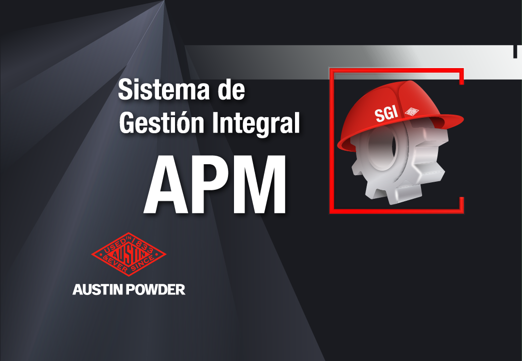 Sistema de Gestión Integral APM 2025 APT-007